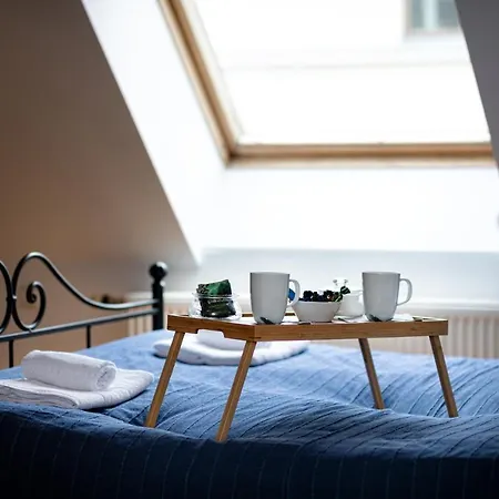 Old Two Floor Palasta Loft With River View Apartman Riga